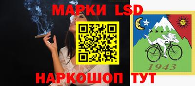 прущие грибы Будённовск