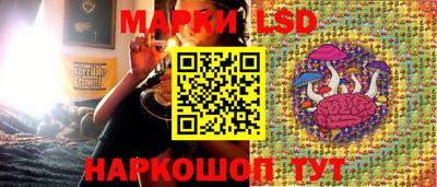 прущие грибы Будённовск