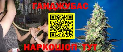 прущие грибы Будённовск