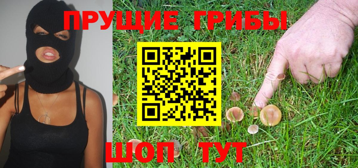 Галлюциногенные грибы MAGIC MUSHROOMS Старая Купавна