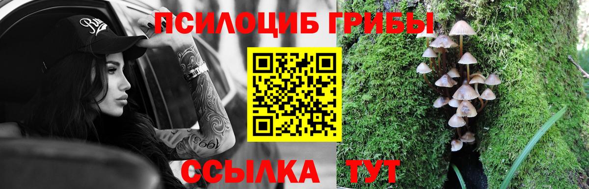 Старая Купавна  Псилоцибиновые грибы Psilocybe  где найти наркотики  Вход с VPN 